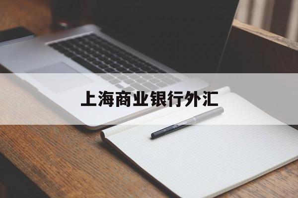 上海商业银行外汇(上海各银行外汇兑换汇率)